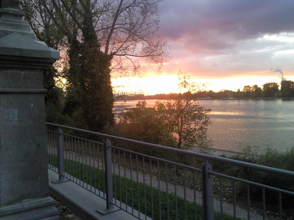 Hof Am Rhein Villa Köln Eksteriør bilde